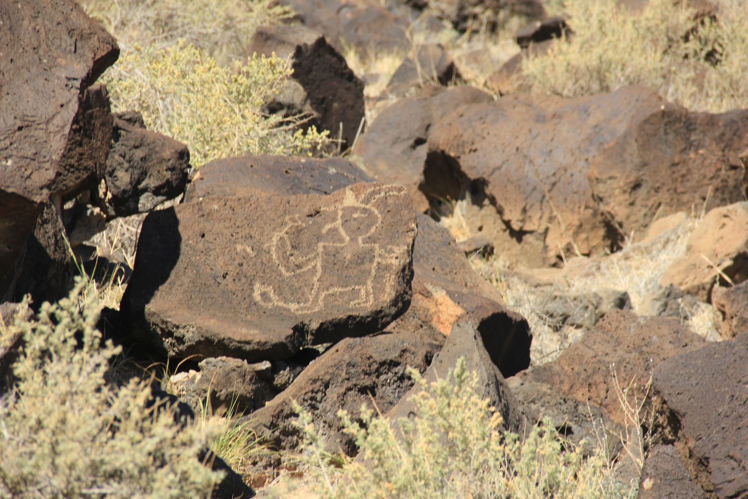 Petroglyph National Monument 